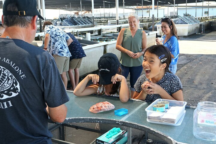 Abalone Farm Tour - Photo 1 of 9